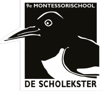 9e Montessorischool De Scholekster - Amsterdam